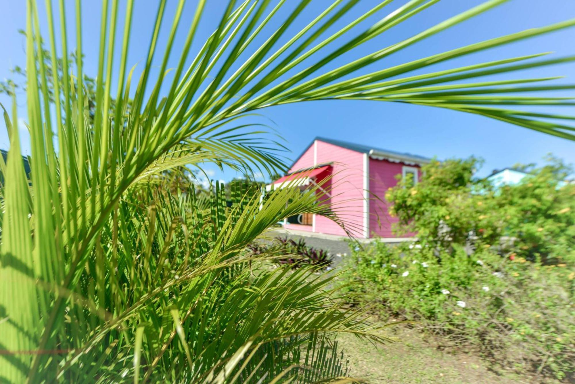 Les jardins de CHANTILLY -Bungalows avec jardins et piscines privées Baie-Mahault Camera foto